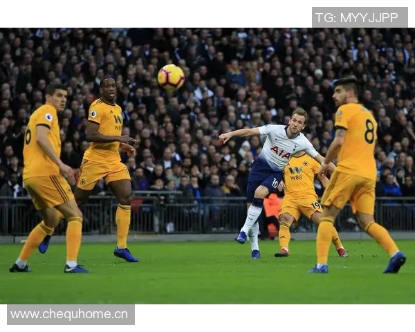 英超球队狼队:分析狼队(Wolverhampton Wanderers)在英超的表现。 英超球队狼队:分析狼队(Wolverhampton Wanderers)在英超的表现。